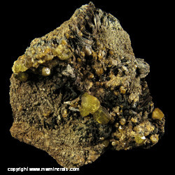 Mineral Specimen: Andradite Garnet variety Demantoid from Cerro Plan de Gallos, Las Vigas de Ramirez, Estado de Veracruz-Llave, Mexico Mineral Specimen: Andradite Garnet variety Demantoid from Cerro Plan de Gallos, Las Vigas de Ramirez, Estado de Veracruz-Llave, Mexico