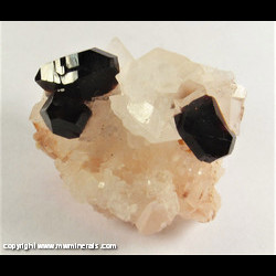Mineral Specimen: Red Uvite Tourmaline on Magnesite from Brumado, Bahia, Brazil Mineral Specimen: Red Uvite Tourmaline on Magnesite from Brumado, Bahia, Brazil