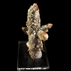 Mineral Specimen: Double Terminated Topaz with Included Rutile from Jaral de Berrios, Municipio San Diego da la Union, Guanajuato, Mexico Mineral Specimen: Double Terminated Topaz with Included Rutile from Jaral de Berrios, Municipio San Diego da la Union, Guanajuato, Mexico