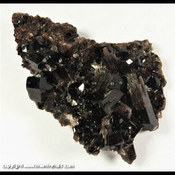 Mineral Specimen: Bicolor Dravite Tourmaline with minor Magnesite from Brumado, Bahia, Brazil Mineral Specimen: Bicolor Dravite Tourmaline with minor Magnesite from Brumado, Bahia, Brazil