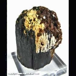 Minerals Specimen: Childrenite on Indicolite Tourmaline from Mina Santa Rosa, Itambacuri, Minas Gerais, Brazil Minerals Specimen: Childrenite on Indicolite Tourmaline from Mina Santa Rosa, Itambacuri, Minas Gerais, Brazil
