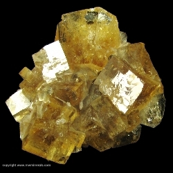 Minerals Specimen: Golden Fluorite from Clay Center, Ottawa County, Ohio Minerals Specimen: Golden Fluorite from Clay Center, Ottawa County, Ohio