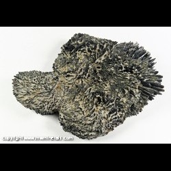 Mineral Specimen: Vivianite from Richmond, Virginia Mineral Specimen: Vivianite from Richmond, Virginia
