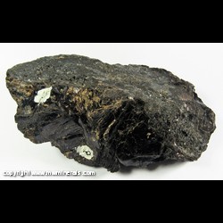 Mineral Specimen: Biotite (likely Fluorophlogopite), minor Willemite from Franklin Mining Districrt, Sussex Co., New Jersey Mineral Specimen: Biotite (likely Fluorophlogopite), minor Willemite from Franklin Mining Districrt, Sussex Co., New Jersey