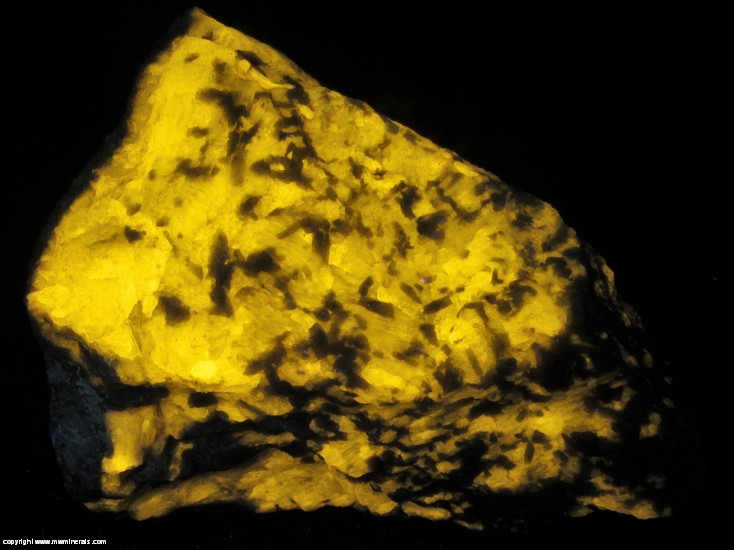 Fluorescent Mineral Specimen: Scapolite variety: Wernerite from Argenteuil RCM, Laurentides, Quebec, Canada Fluorescent Mineral Specimen: Scapolite variety: Wernerite from Argenteuil RCM, Laurentides, Quebec, Canada