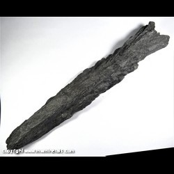 Mineral Specimen: Calcite variety: Cone-In-Cone from Pershing area mines (Approx. 7 miles SE of Knoxville), Marion Co., Iowa Mineral Specimen: Calcite variety: Cone-In-Cone from Pershing area mines (Approx. 7 miles SE of Knoxville), Marion Co., Iowa