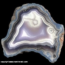 Mineral Specimen: Laguna Agate from Ojo Laguna, Estacion Ojo Laguna, Ahumada Municipality, Chihuahua, Mexico Mineral Specimen: Laguna Agate from Ojo Laguna, Estacion Ojo Laguna, Ahumada Municipality, Chihuahua, Mexico