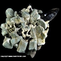 Mineral Specimen: Amazonite, Smoky Quartz, Albite with Casts from Crystal Peak area, Park or Teller Co., Colorado Mineral Specimen: Amazonite, Smoky Quartz, Albite with Casts from Crystal Peak area, Park or Teller Co., Colorado
