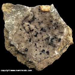 Mineral Specimen: Goethite Crystals on Calcite Crystals with minor Barite from Lovilia area, Marion Co., Iowa Mineral Specimen: Goethite Crystals on Calcite Crystals with minor Barite from Lovilia area, Marion Co., Iowa