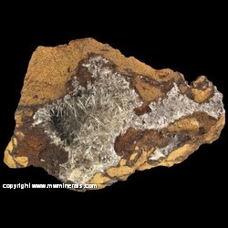 Minerals Specimen: Aragonite from LaFarge Quarry, Buffalo, Scott Co., Iowa Minerals Specimen: Aragonite from LaFarge Quarry, Buffalo, Scott Co., Iowa