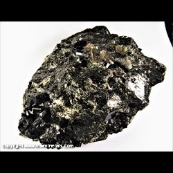 Mineral Specimen: Dravite in Biotite Schist from Serra Branca pegmatite, Pedra Lavrada, Borborema mineral province, Paraiba, Brazil Mineral Specimen: Dravite in Biotite Schist from Serra Branca pegmatite, Pedra Lavrada, Borborema mineral province, Paraiba, Brazil