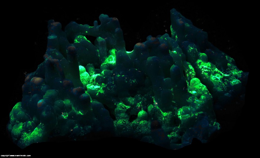 Fluorescent Mineral Specimen: Tube Agate (Stalactic Chalcedony) from Flaming Gorge, Sweeetwater Co., Wyoming / Dagget Co., Utah Fluorescent Mineral Specimen: Tube Agate (Stalactic Chalcedony) from Flaming Gorge, Sweeetwater Co., Wyoming / Dagget Co., Utah