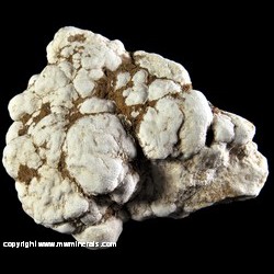 Mineral Specimen: Aluminite from Newhaven Cliffs, Newhaven, Lewes, East Sussex, England Mineral Specimen: Aluminite from Newhaven Cliffs, Newhaven, Lewes, East Sussex, England