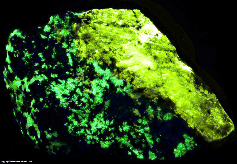 Fluorescent Mineral Specimen: Esperite, Willemite, Franklinite from Franklin, Sussex Co., New Jersey Fluorescent Mineral Specimen: Esperite, Willemite, Franklinite from Franklin, Sussex Co., New Jersey