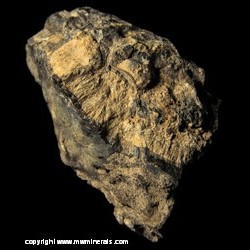 Minerals Specimen: Collinsite,  Hydroxylapatite (Var: Carbonate-rich Hydroxylapatite), Wurtzilite (Asphaltum) from Francois Lake, Omenica Mining Division, British Columbia, Canada