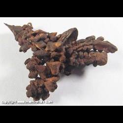 Mineral Specimen: Copper Crystals from Northwestern Mine, Keweenaw Co., Michigan Mineral Specimen: Copper Crystals from Northwestern Mine, Keweenaw Co., Michigan