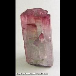 Mineral Specimen: Tourmaline from Pederneira claim, Sao Jose da Safira, Doce valley, Minas Gerais, Brazil Mineral Specimen: Tourmaline from Pederneira claim, Sao Jose da Safira, Doce valley, Minas Gerais, Brazil