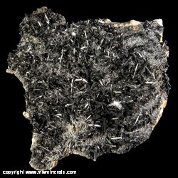 Mineral Specimen: Stibnite, Quartz, Siderite from Baia Sprie mine (Felsobanya mine), Baia Sprie (Felsobanya), Maramures Co., Romania