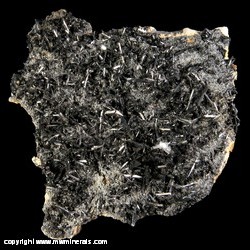 Mineral Specimen: Stibnite, Quartz, Siderite from Baia Sprie mine (Felsobanya mine), Baia Sprie (Felsobanya), Maramures Co., Romania Mineral Specimen: Stibnite, Quartz, Siderite from Baia Sprie mine (Felsobanya mine), Baia Sprie (Felsobanya), Maramures Co., Romania