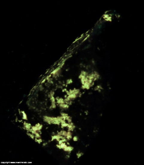 Fluorescent Mineral Specimen: Malayaite from Meldon Mine, Okehampton Hamlets, West Devon, Devon, England Fluorescent Mineral Specimen: Malayaite from Meldon Mine, Okehampton Hamlets, West Devon, Devon, England