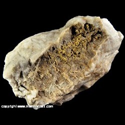 Mineral Specimen: Gold on Quartz from Siskiyou Co., California