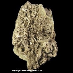 Mineral Specimen: Diopside variety: Jackstaw, minor Chromian Grossular Garnet from Jeffrey Quarry, Asbestos, Les Sources RCM, Estrie, Quebec, Canada Mineral Specimen: Diopside variety: Jackstaw, minor Chromian Grossular Garnet from Jeffrey Quarry, Asbestos, Les Sources RCM, Estrie, Quebec, Canada