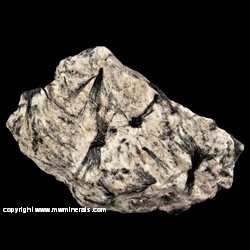 Mineral Specimen: Gedrite from Ludvika, Dalarna, Sweden Mineral Specimen: Gedrite from Ludvika, Dalarna, Sweden