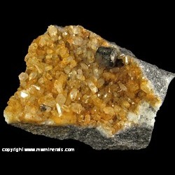Mineral Specimen: Pyrite on Quartz variety: Golden Healer (coated with Hematite) from Bazley Coal Strip Mine, near Pottsville, Schuylkill Co., Pennsylvania Mineral Specimen: Pyrite on Quartz variety: Golden Healer (coated with Hematite) from Bazley Coal Strip Mine, near Pottsville, Schuylkill Co., Pennsylvania