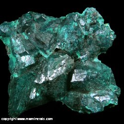 Mineral Specimen: Dioptase with Casts on Bottom from Demorcratic Republic of the Congo Mineral Specimen: Dioptase with Casts on Bottom from Demorcratic Republic of the Congo
