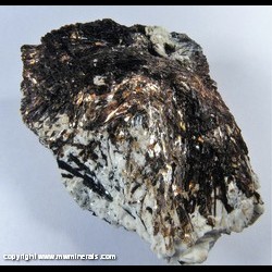 Mineral Specimen: Astrophyllite and Aegerine in Nepheline Syenite Matrix from Khibiny Massif, Murmansk Oblast, Russia