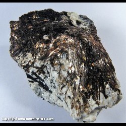 Mineral Specimen: Astrophyllite and Aegerine in Nepheline Syenite Matrix from Khibiny Massif, Murmansk Oblast, Russia Mineral Specimen: Astrophyllite and Aegerine in Nepheline Syenite Matrix from Khibiny Massif, Murmansk Oblast, Russia