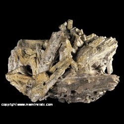 Minerals Specimen: Stibconite Pseudomorph after Stibnite from Estacion Wadley, Municipio de Catorce, San Luis Potosi, Mexico Minerals Specimen: Stibconite Pseudomorph after Stibnite from Estacion Wadley, Municipio de Catorce, San Luis Potosi, Mexico