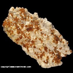 Mineral Specimen: Spessartine Garnet on Microcline from Tongbei, Fujian, China