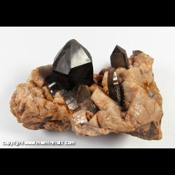 Mineral Specimen: Smoky Quartz and Microcline Crystals from Park Co., Colorado Mineral Specimen: Smoky Quartz and Microcline Crystals from Park Co., Colorado