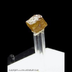 Mineral Specimen: Brown Modified Cubic Diamond Crystal from Democratic Republic of Congo (formery Zaire) Mineral Specimen: Brown Modified Cubic Diamond Crystal from Democratic Republic of Congo (formery Zaire)