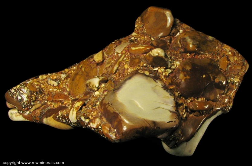 Mineral Specimen: Tennessee Puddingstone from Tennessee, USA