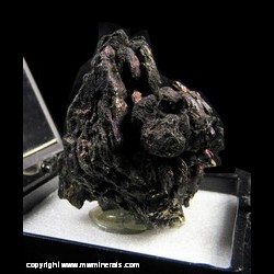Mineral Specimen: Chalcocite from Lucky Friday Pocket, 402-1000 Level, Ladysmith Mine, Flambeau, Rusk Co., Wisconsin
