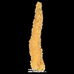Mineral Specimen: Stalactic Calcite with minor coating of Selenite from Elk Creek, Meade Co., South Dakota Mineral Specimen: Stalactic Calcite with minor coating of Selenite from Elk Creek, Meade Co., South Dakota