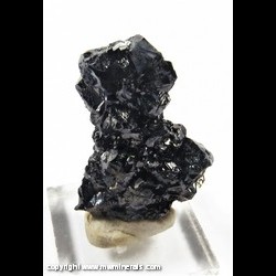 Mineral Specimen: Sphalerite variety Marmite from Smallcleugh Mine, Nenthead, Alston Moore Dist., Cumbria, England Mineral Specimen: Sphalerite variety Marmite from Smallcleugh Mine, Nenthead, Alston Moore Dist., Cumbria, England