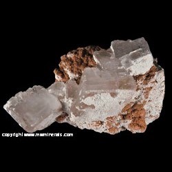 Mineral Specimen: Calcite with Unidentified Orange crystals (Olmiite?) and White Species from Kalahari manganese fields, Northern Cape Province, South Africa Mineral Specimen: Calcite with Unidentified Orange crystals (Olmiite?) and White Species from Kalahari manganese fields, Northern Cape Province, South Africa