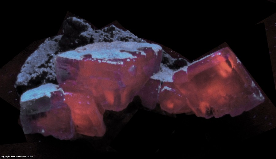 Fluorescent Mineral Specimen: Calcite with Unidentified Orange crystals (Olmiite?) and White Species from Kalahari manganese fields, Northern Cape Province, South Africa
