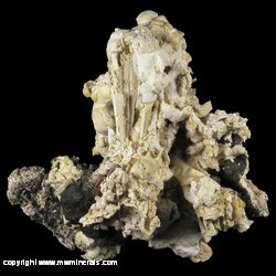 Mineral Specimen: Hydroxylapatite Psuedomorphs (labeled as Wilkeite), Unidentified Black Material from Mina Astillero, Sierra el Rosario, Municipio de Mapimi, Durango, Mexico Mineral Specimen: Hydroxylapatite Psuedomorphs (labeled as Wilkeite), Unidentified Black Material from Mina Astillero, Sierra el Rosario, Municipio de Mapimi, Durango, Mexico