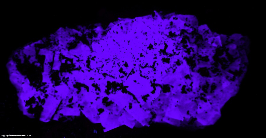 Fluorescent Mineral Specimen: Fluorite with Marcasite (labeled as Pyrite) from Var, Provence-Alpes-Cote d'Azur, France (likely Fonsante Mine) Fluorescent Mineral Specimen: Fluorite with Marcasite (labeled as Pyrite) from Var, Provence-Alpes-Cote d'Azur, France (likely Fonsante Mine)