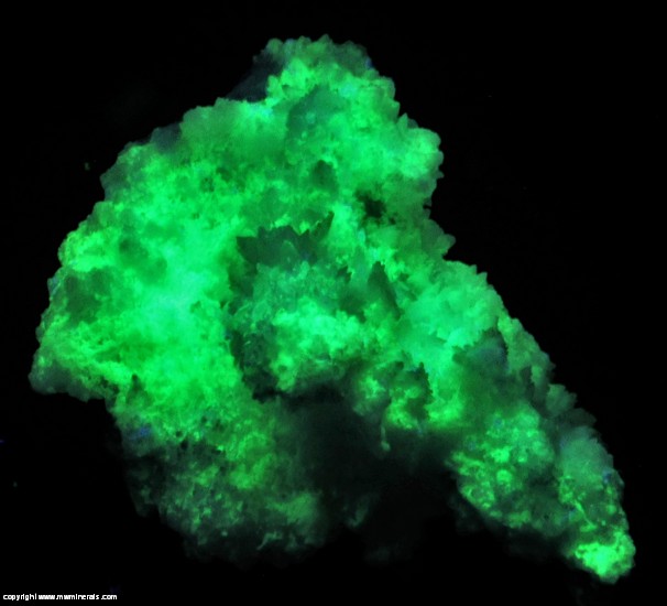 Fluorescent Mineral Specimen: Calcite over Celestine from Mina Mojina, Rancho de Mojina, Ricardo Flores Magon, Mun. de Buenaventura, Chihuahua, Mexico Fluorescent Mineral Specimen: Calcite over Celestine from Mina Mojina, Rancho de Mojina, Ricardo Flores Magon, Mun. de Buenaventura, Chihuahua, Mexico