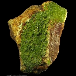 Minerals Specimen: Pyromorphite from Wheatley Mines, Phoenixville Mining District, Schuylkill Township, Chester Co., Pennsylvania, USA Minerals Specimen: Pyromorphite from Wheatley Mines, Phoenixville Mining District, Schuylkill Township, Chester Co., Pennsylvania, USA