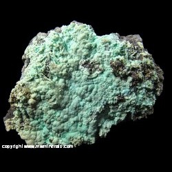 Minerals Specimen: Chalcoalumite from Holbrook shaft, Copper Queen Mine, Queen Hill, Bisbee, Cochise County, Arizona Minerals Specimen: Chalcoalumite from Holbrook shaft, Copper Queen Mine, Queen Hill, Bisbee, Cochise County, Arizona