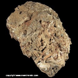 Mineral Specimen: Cerussite variety: Jackstraw from Tynagh Mine, Killimor, County Galway, Ireland Mineral Specimen: Cerussite variety: Jackstraw from Tynagh Mine, Killimor, County Galway, Ireland