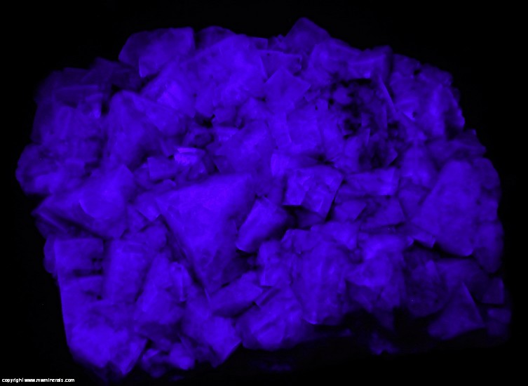 Fluorescent Mineral Specimen: Fluorite from Weardale, County Durham, England Fluorescent Mineral Specimen: Fluorite from Weardale, County Durham, England