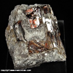 Mineral Specimen: Tantalite-(Mn), Quartz, Muscovite from Quixaba Mine, Frei Martiho, Paraiba, Brazil Mineral Specimen: Tantalite-(Mn), Quartz, Muscovite from Quixaba Mine, Frei Martiho, Paraiba, Brazil
