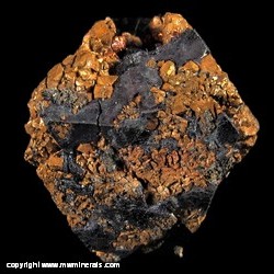 Mineral Specimen: Cuprite Crystal partially Pseudomorphed to Copper from Rubtsovskiy Mine, Altaiskiy Krai, Siberia, Russia Mineral Specimen: Cuprite Crystal partially Pseudomorphed to Copper from Rubtsovskiy Mine, Altaiskiy Krai, Siberia, Russia